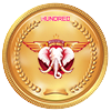 previous-mach-result.jpg
