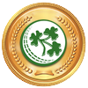 previous-mach-result.jpg